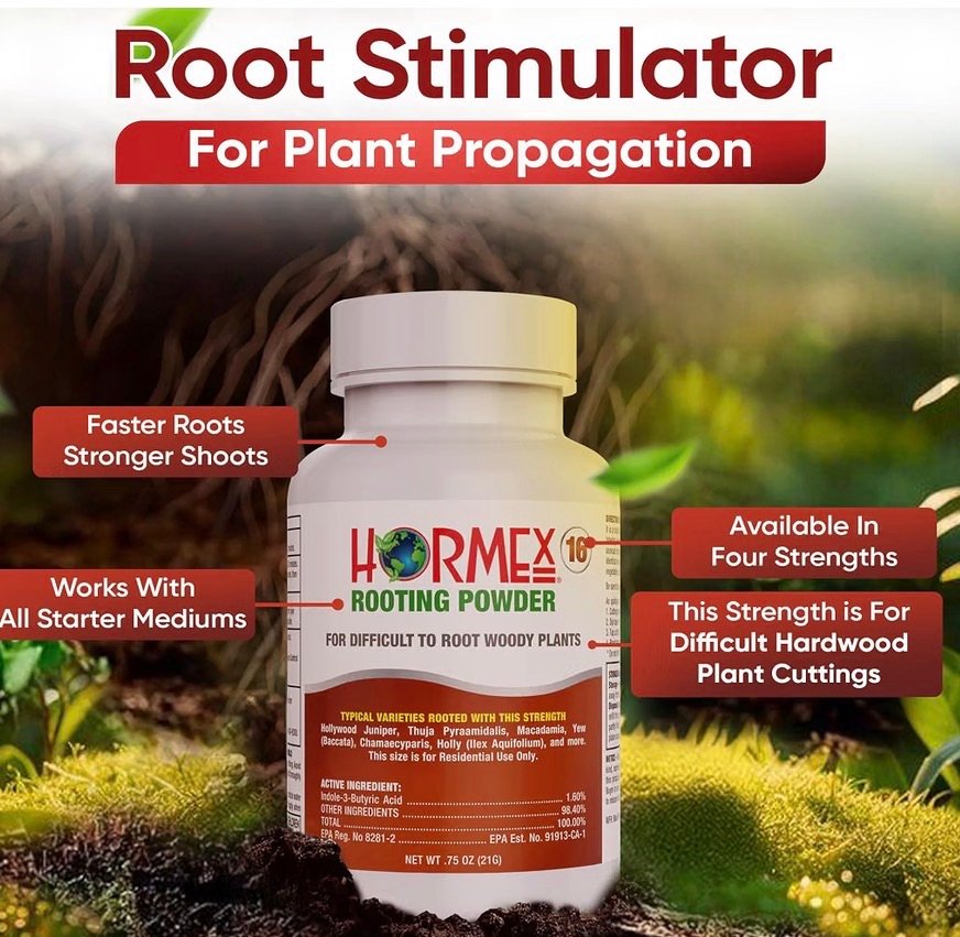 Powder root simulator