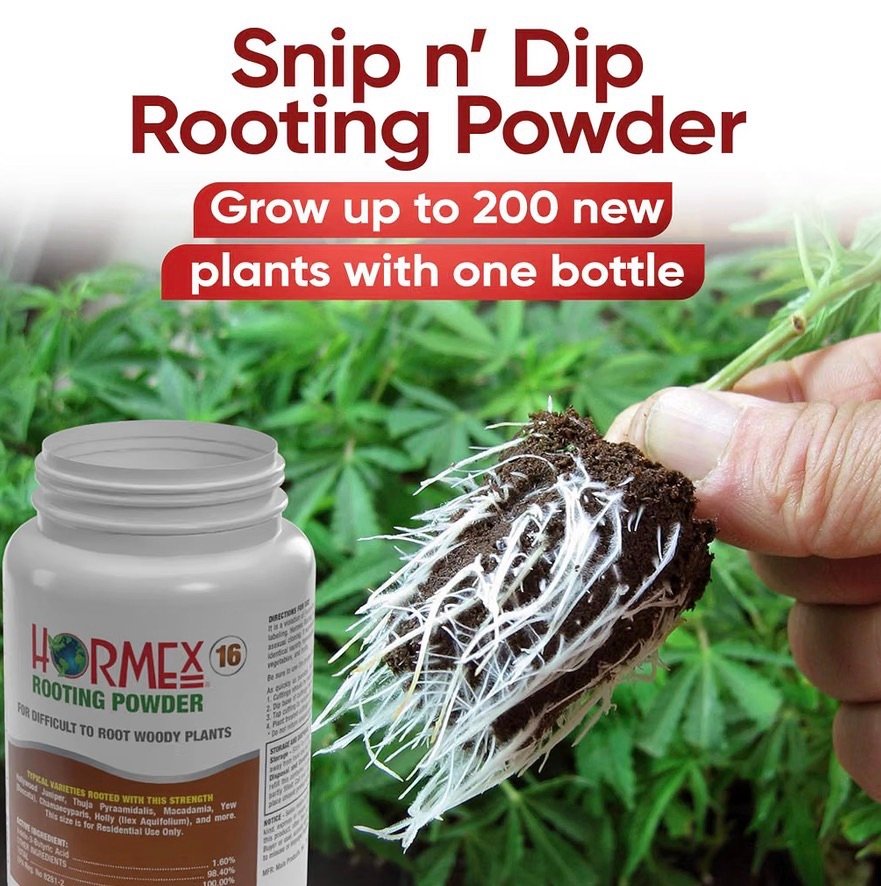 Snip n dip rooting powder