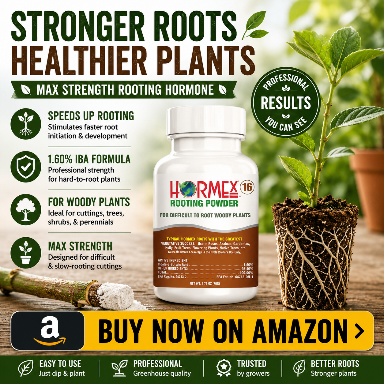 Rooting hormone powder