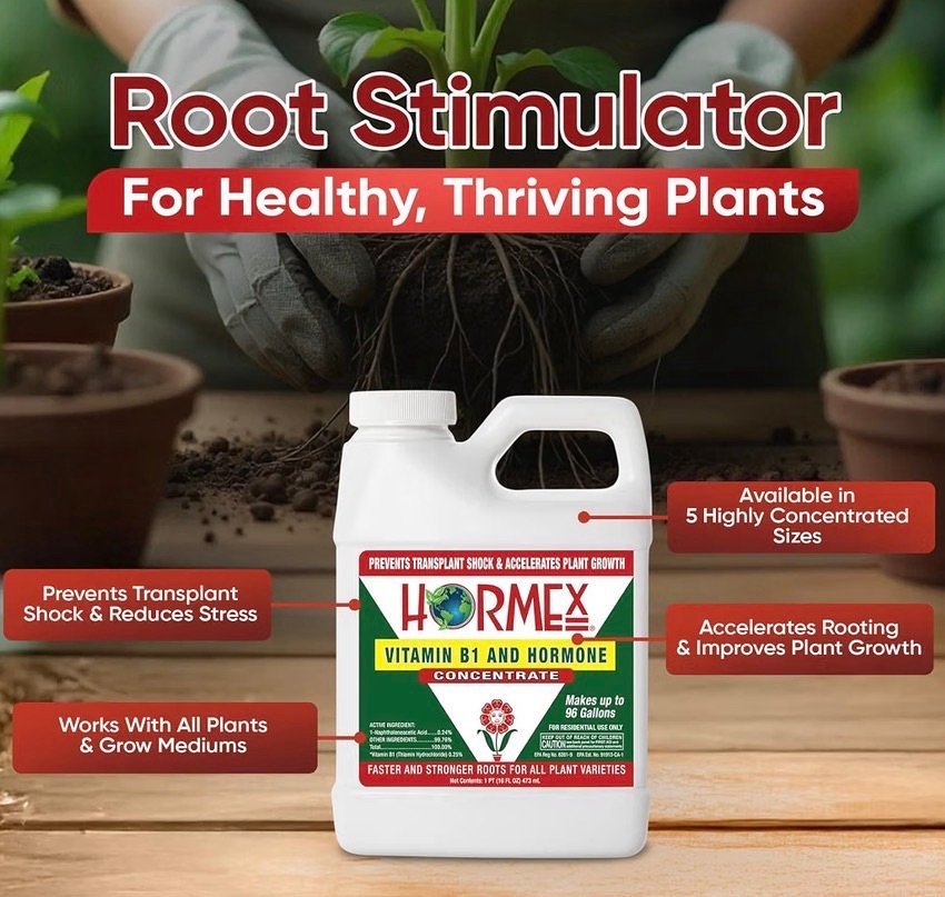Strong rooting hormone