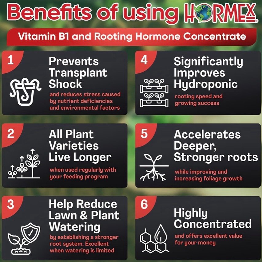 Benefits of rooting liquid 