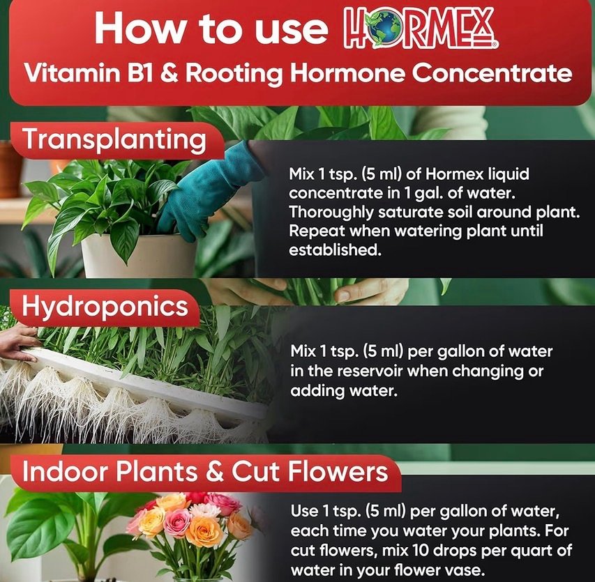 How to use rooting hormones 