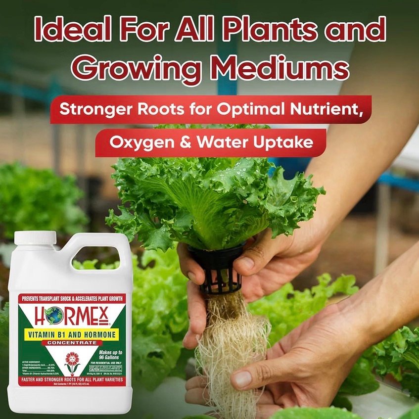 Ideal for rooting plants 