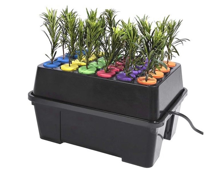 Using a cloner for propagation 