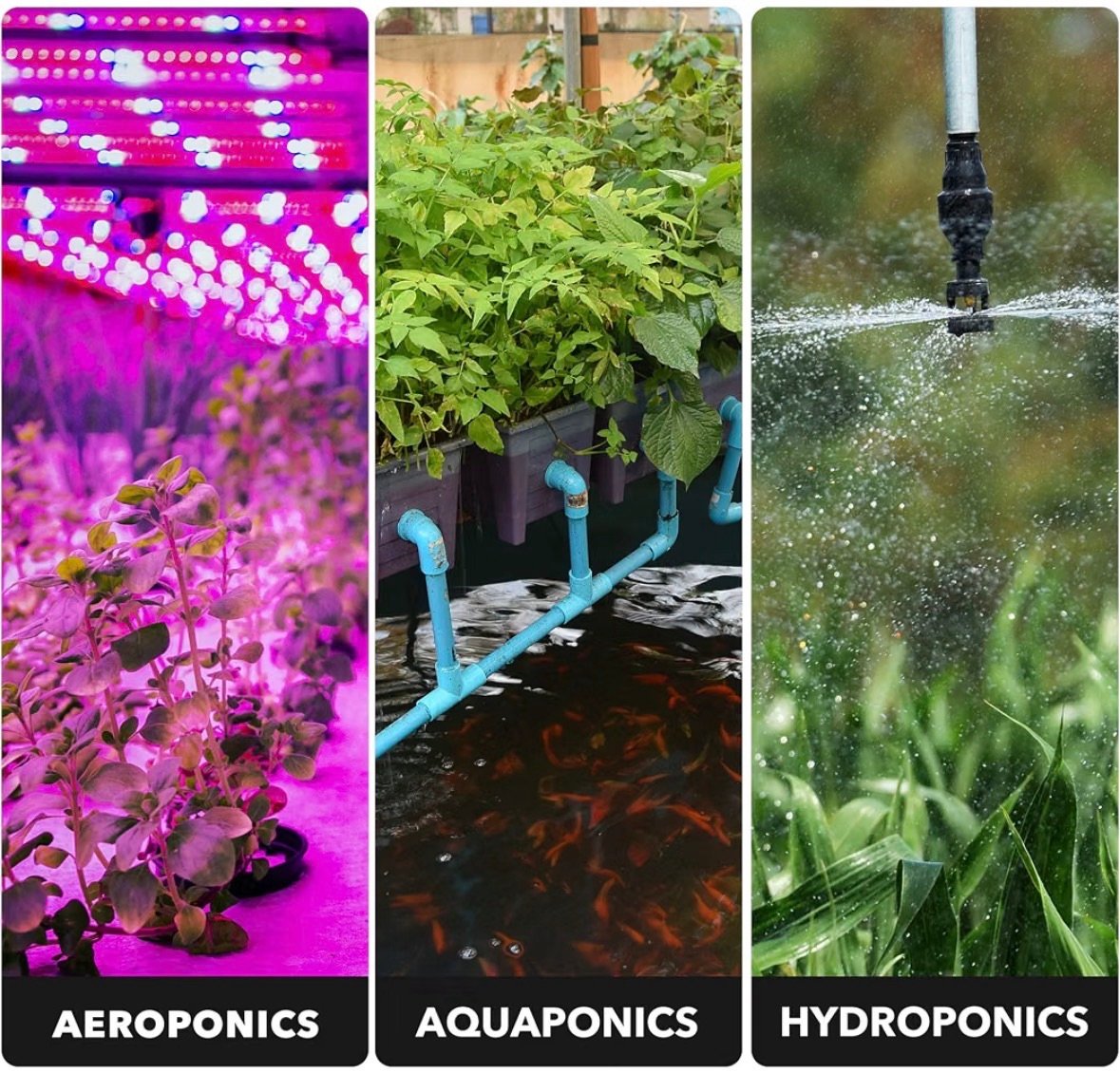 Hydroponic aeroponic timer