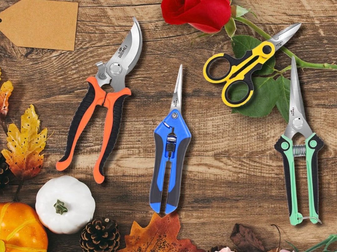 Best pruners for plant cuttings