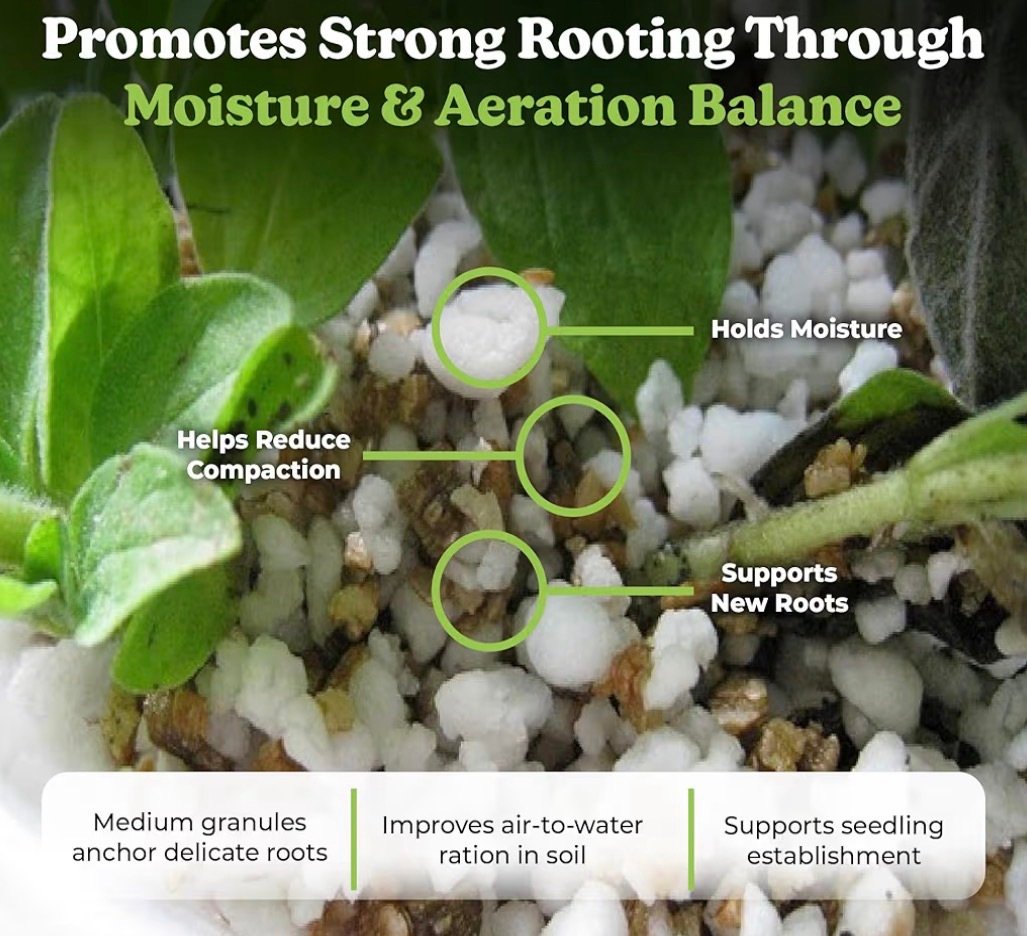 Perlite for rooting cuttings