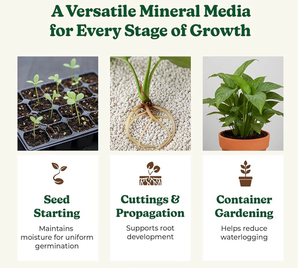 Perlite for growing plants